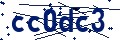 Código de seguridad