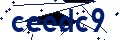 Código de seguridad