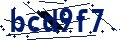 Código de seguridad