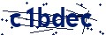 Código de seguridad