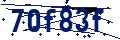 Código de seguridad