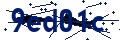 Código de seguridad