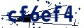 Código de seguridad