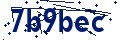 Código de seguridad