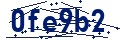 Código de seguridad