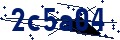 Código de seguridad