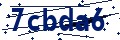 Código de seguridad