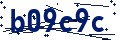 Código de seguridad