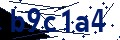 Código de seguridad