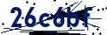 Código de seguridad