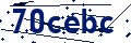 Código de seguridad