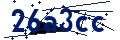 Código de seguridad