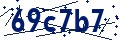 Código de seguridad