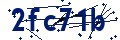 Código de seguridad