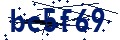 Código de seguridad