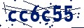 Código de seguridad