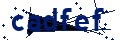 Código de seguridad