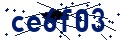 Código de seguridad