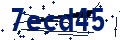 Código de seguridad
