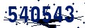 Código de seguridad