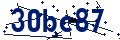 Código de seguridad