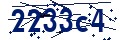 Código de seguridad