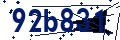 Código de seguridad