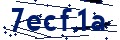 Código de seguridad