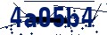 Código de seguridad