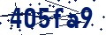 Código de seguridad