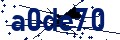 Código de seguridad