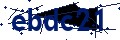 Código de seguridad