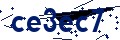 Código de seguridad