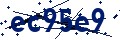 Código de seguridad