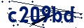 Código de seguridad