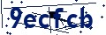 Código de seguridad