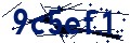 Código de seguridad