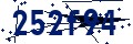 Código de seguridad