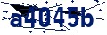 Código de seguridad