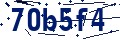 Código de seguridad