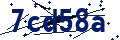 Código de seguridad