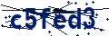Código de seguridad