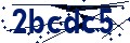 Código de seguridad