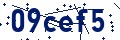 Código de seguridad