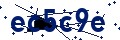Código de seguridad