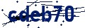 Código de seguridad