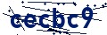 Código de seguridad