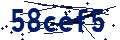 Código de seguridad
