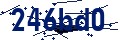 Código de seguridad
