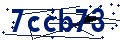 Código de seguridad